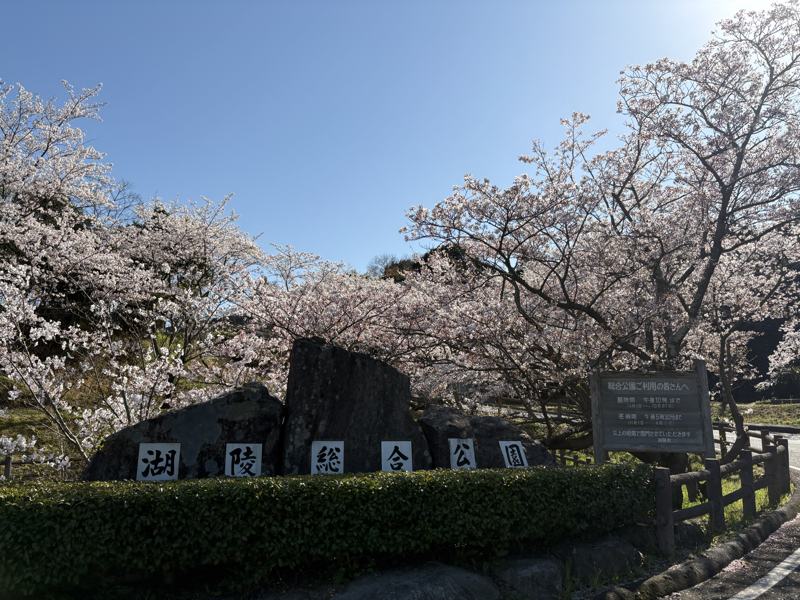 湖陵総合公園 公園入口の石碑と桜