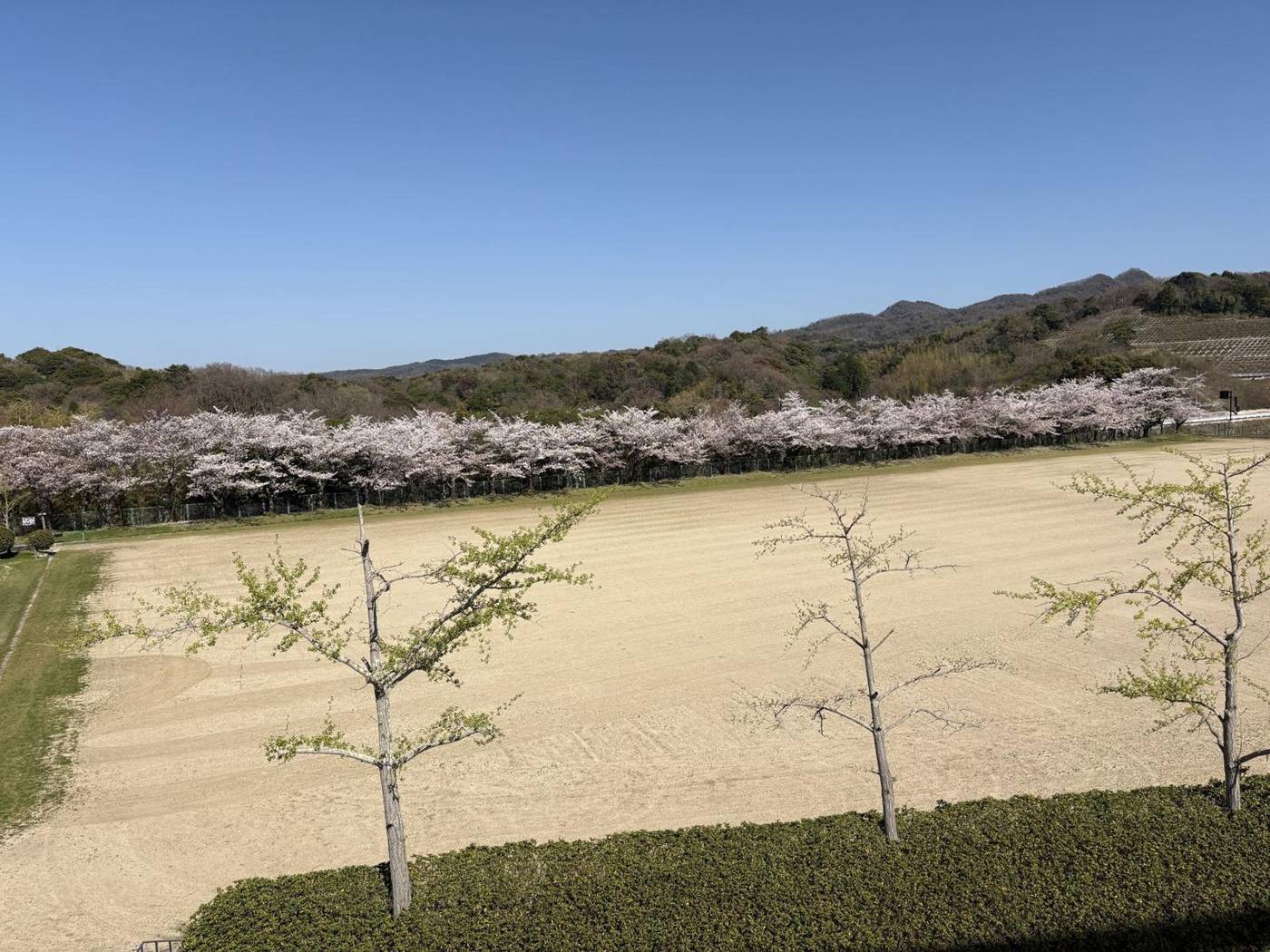 湖陵総合公園
