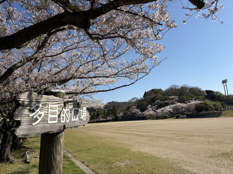 多目的広場