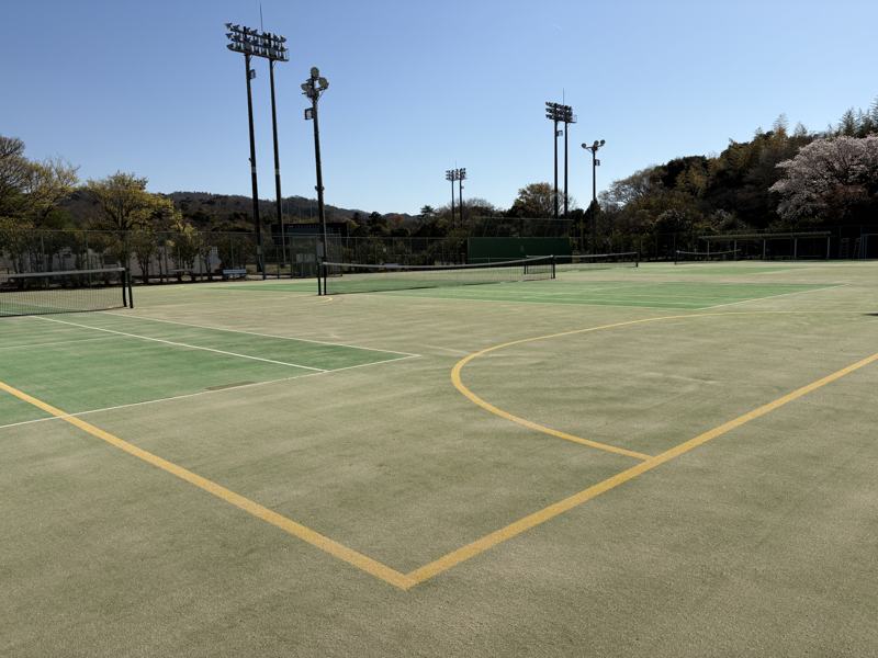 湖陵総合公園 フットサルコートのライン